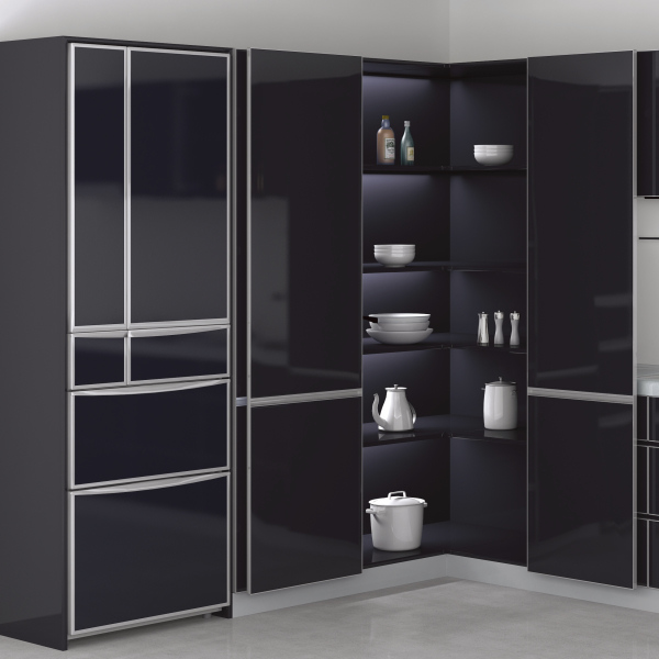 Lateral Swing Hinge Door System